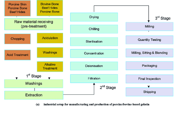 gelatin extraction.png