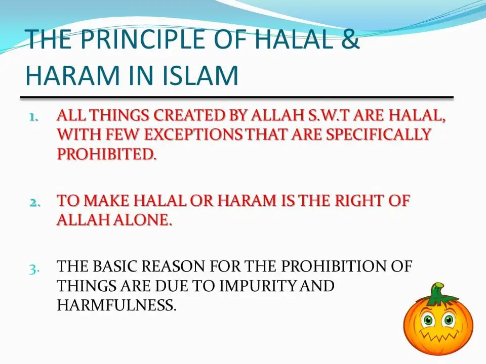 halal or haram.webp
