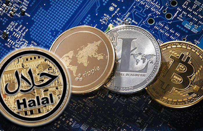 Exploring the Halal Perspective on Cryptocurrency: Understanding Emerging Trends