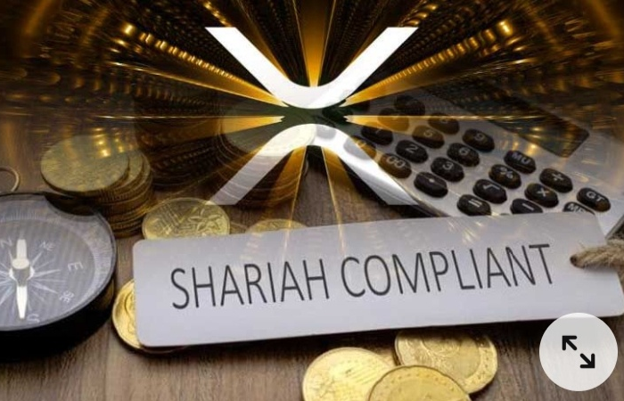 Exploring the Halal Perspective on Cryptocurrency: Understanding Emerging Trends