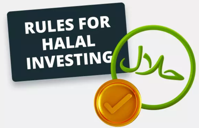 Exploring Halal Investment: Navigating the Halal Economy with Islamic Principles