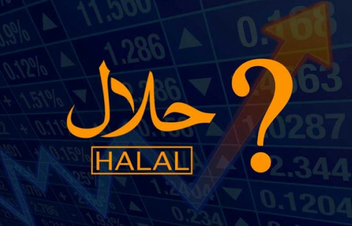 Exploring Halal Investment: Navigating the Halal Economy with Islamic Principles